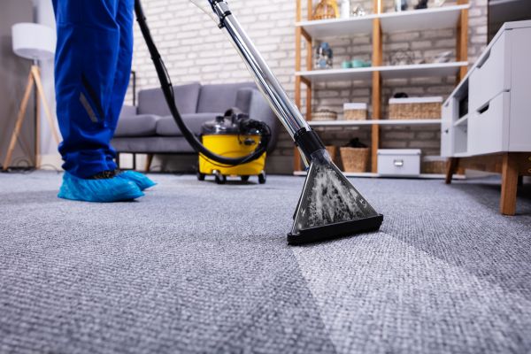 Carpet Deep Cleaning in Wheaton