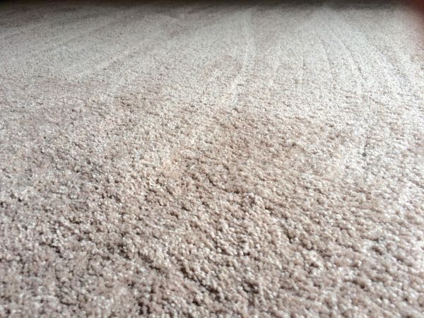 Plush Carpet Installation in Wheaton