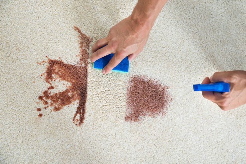 Stain and Spot Treatment